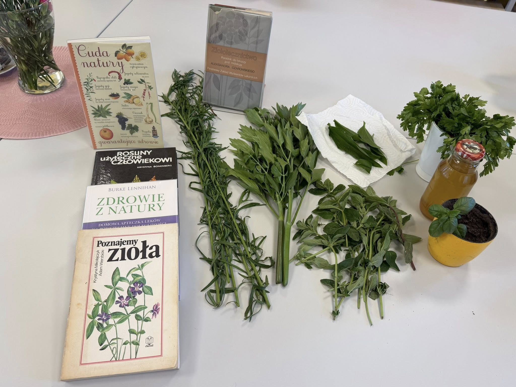 Książki o ziołach, zioła w pęczkach i w doniczce.