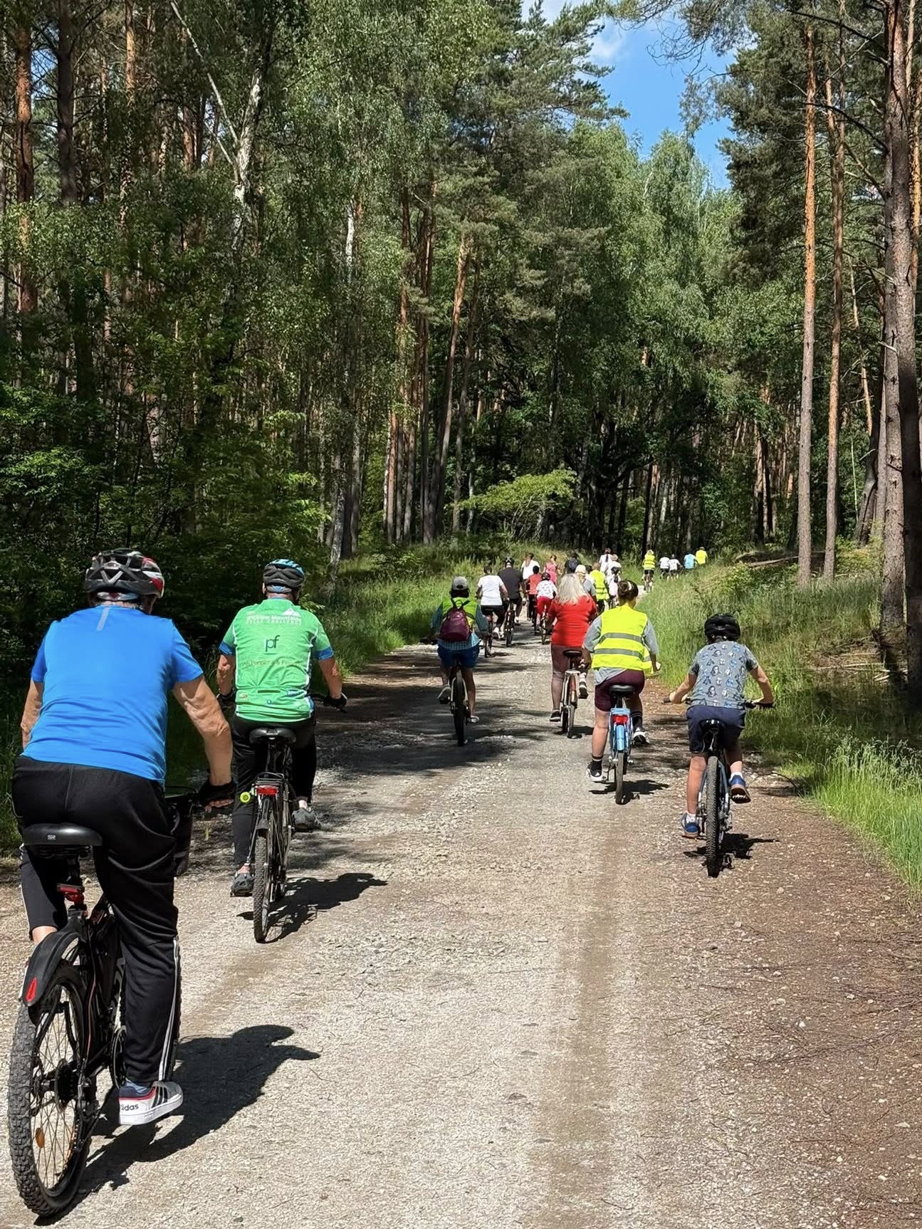 Uczestnicy rajdu jadą rowerami przez las. Widok z tyłu.