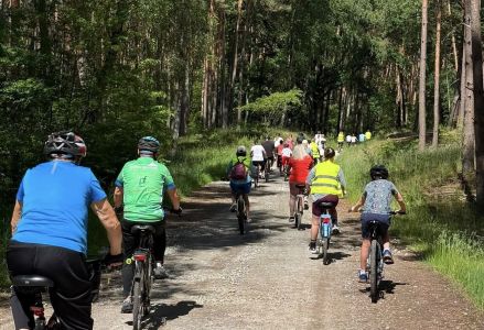 Uczestnicy rajdu jadą rowerami przez las. Widok z tyłu.